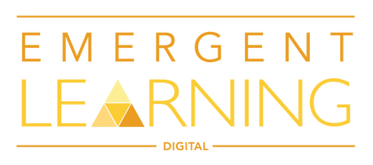 Emergent Learning Digital Information: Online Data Collection and Management Platform