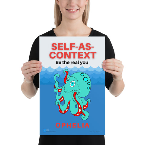 The AIM Explorers – Emergent Learning Press